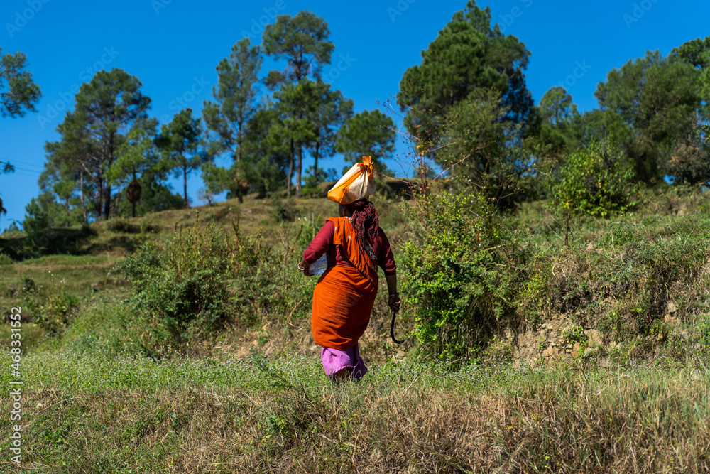 lady farmer cutting down crops and grass on a hill