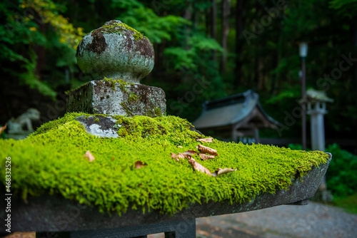 戸隠神社宝光社　境内の灯籠 photo
