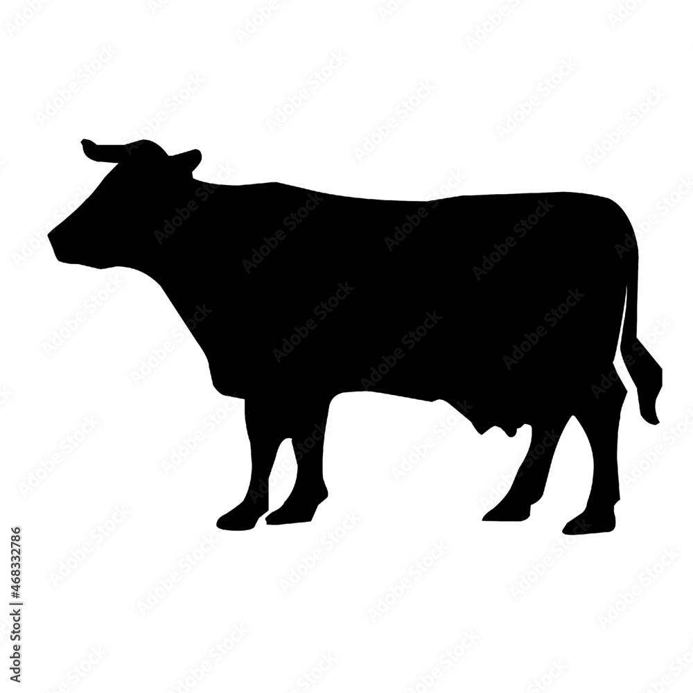 cow wild animals cow wild animals