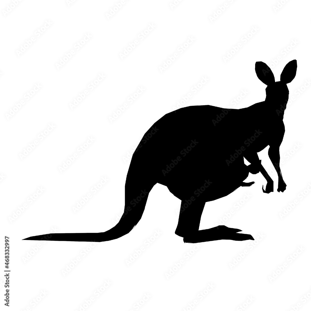 kangaroo wildlife animals