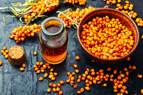 Sea buckthorn in herbal medicine,branch with berries