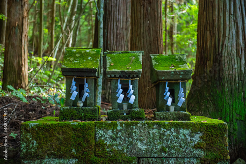 戸隠神社宝光社　境内に並んだ小さな祠 photo