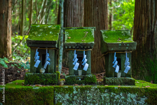 戸隠神社宝光社　境内に並んだ小さな祠 photo