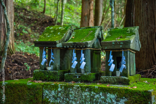 戸隠神社宝光社　境内に並んだ小さな祠 photo