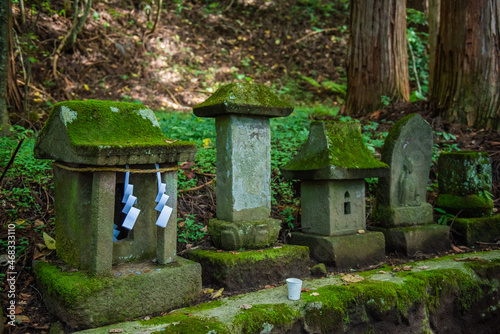 戸隠神社宝光社　境内に並んだ小さな祠 photo