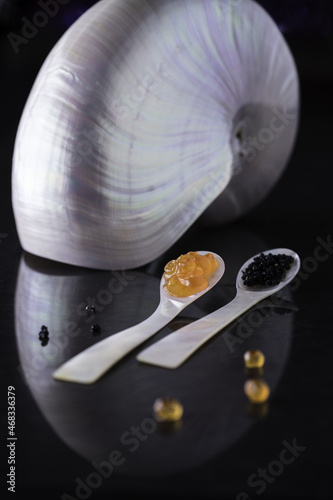 Vertical shot of Macoma shell and two spoons made from its material photo