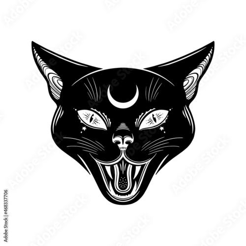 Canvas Print Angry Black witches cat