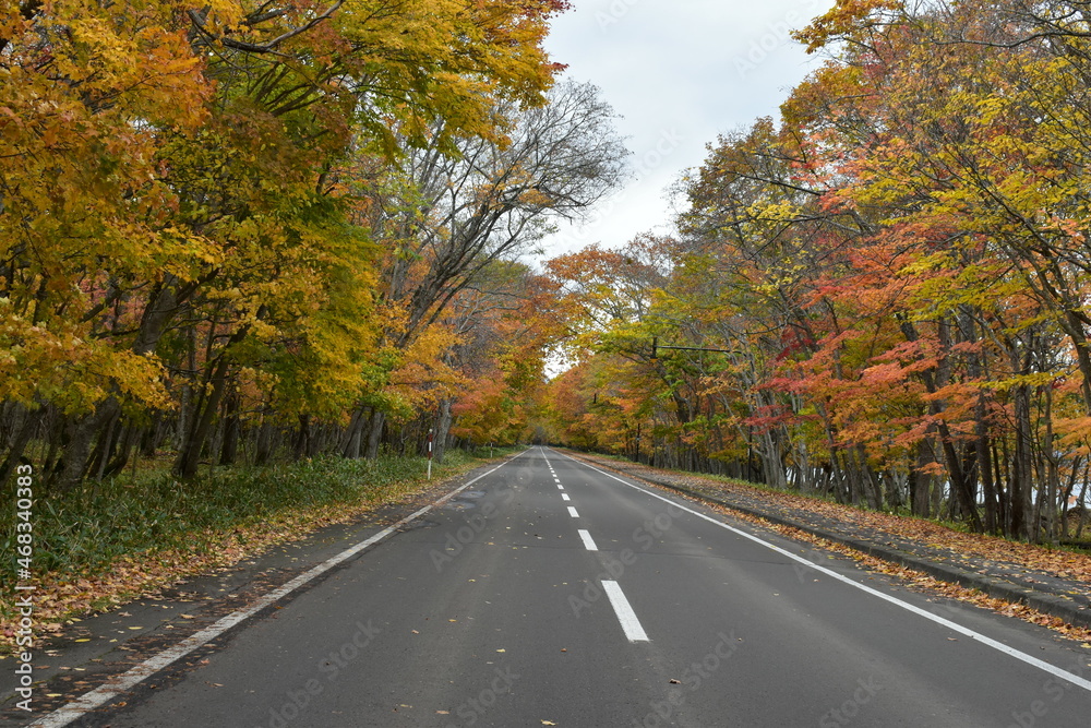 北海道の風景