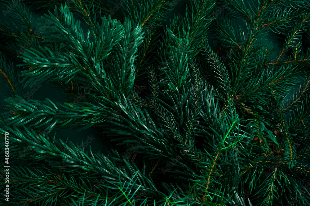 Christmas green background. Pine branches, needles and Christmas trees. View from above. Christmas nature background. December mood concept. Copy space.