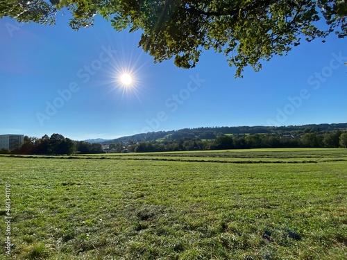 field and blue sky