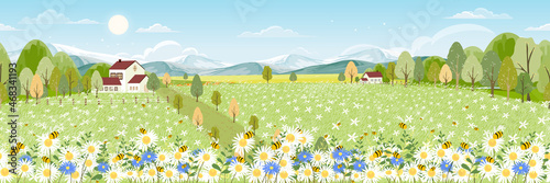 Seamless pattern Spring field with fluffy cloud on blue sky,Vector background banner Endless Cute cartoon panorama rural landscape green grass with honey bee flying on flowers in sunny day Summer
