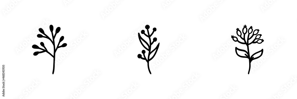 Set of 3 plant icon on white background.