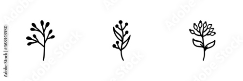 Set of 3 plant icon on white background.