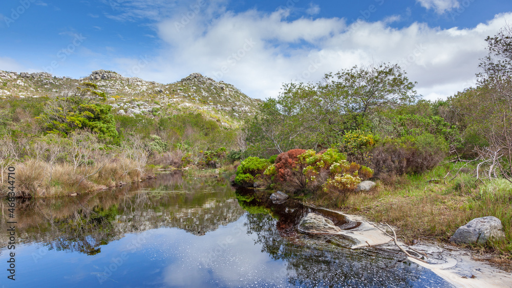 Silvermine Area of Table Mountain National Park Silvermine Area of Table Mountain National Park