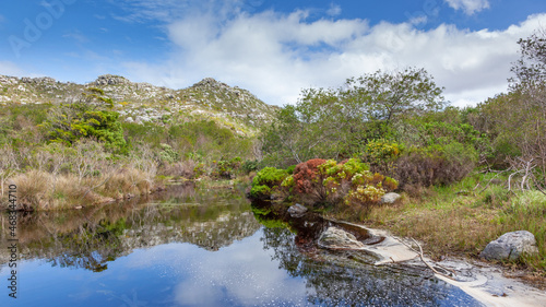 Silvermine Area of Table Mountain National Park photo
