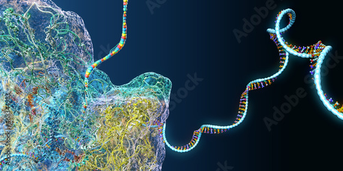 Ribosome as part of an biological cell constructing messenger rna molecules - 3d illustration