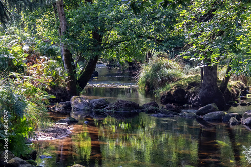 Cours d'eau dans la campagne