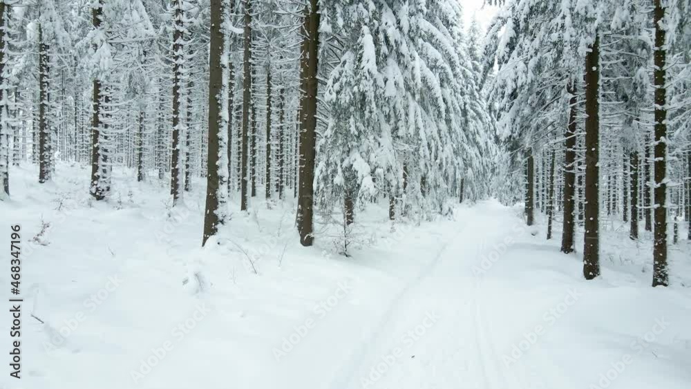 Girl walking in Thuringian forest in winter. Drone footage. Fly in winter forest with a lot of snow. Winter Hiking Girl walking in Thuringian forest in winter. Drone footage. Fly in winter forest with a lot of snow. Winter Hiking