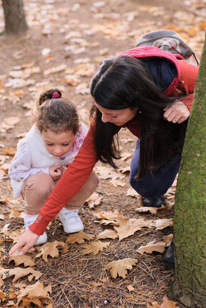 Mother and child in the forest exploring the nature having fun together smiling and laughing, true love emotion Mother and child in the forest exploring the nature having fun together smiling and laughing, true love emotion