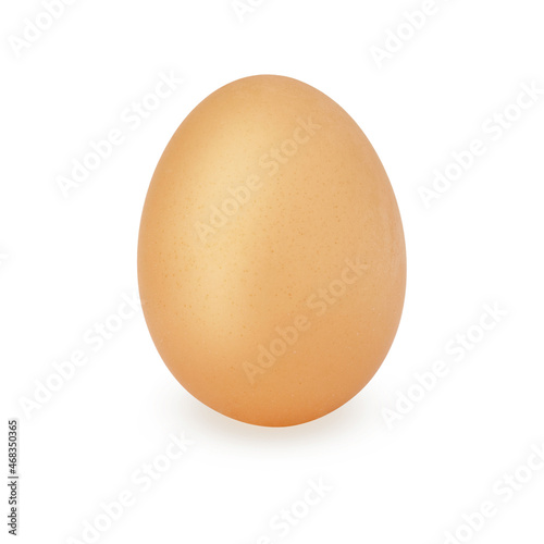 chicken egg isolated on white background. close-up