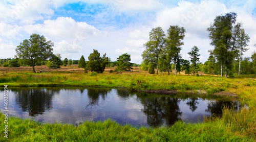 Weseler Heide nature reserve. Green landscape with ponds near the Lueneburg Heath.