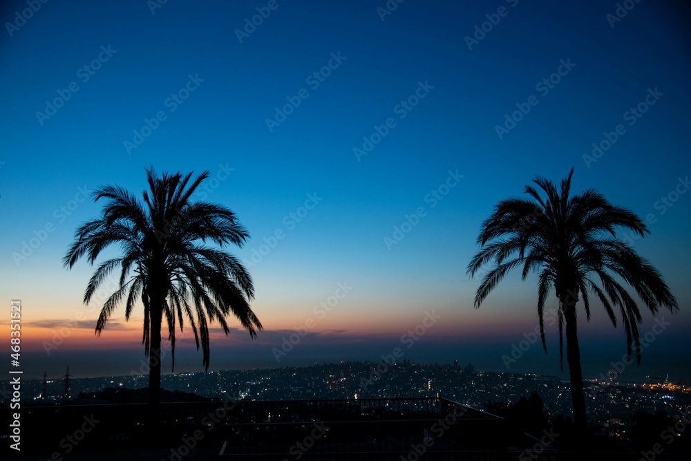 Fototapeta premium two palm trees in front of the distant city of Beirut during sunset