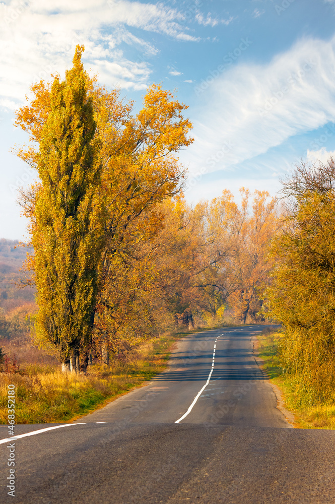 country road at sunrise. beautiful mountain scenery in fall season. trees in colorful foliage along the way. sunny weather with clouds on the sky