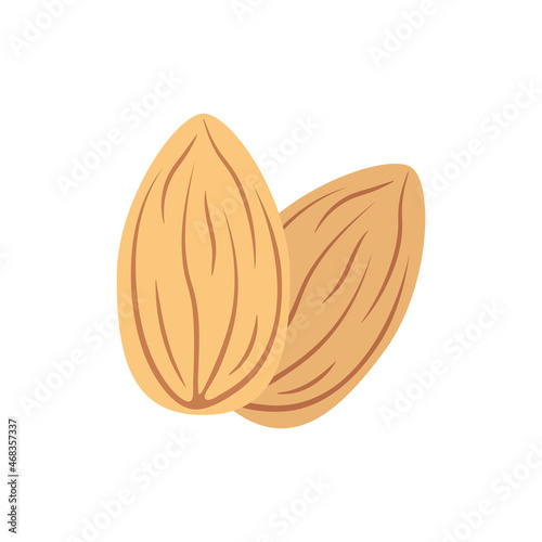 Almond nut kernel beige natural color. Vector illustration, isolated on a white background, for the design of the website of products, applications, printing