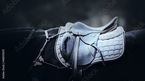 The black horse is wearing a leather saddle, a soft saddlecloth and a stirrup, illuminated by a light in the evening twilight. Equestrian sports. Horse riding. Horse ammunition.