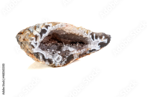 Macro mineral stone agate kidney gerbera on white background close up