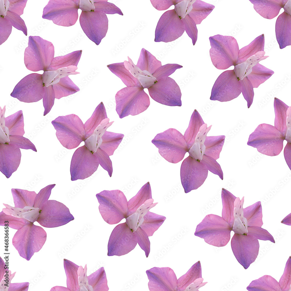 Purple flower seamless pattern. Purple flower. Purple flower seamless pattern. Purple flower.