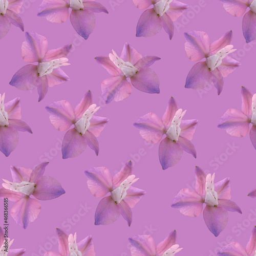 Purple flower seamless pattern. Purple flower. 