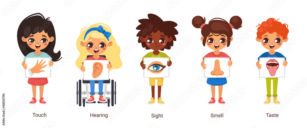 cartoon style illustration of five human senses cartoon style illustration of five human senses