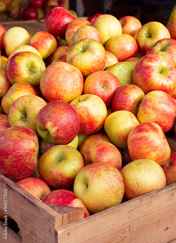 Foto Bushel baskets of Honecrisp apples at a local farmer's market