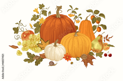 Harvest. Pumpkins and fruits. Autumn botanical illustration.