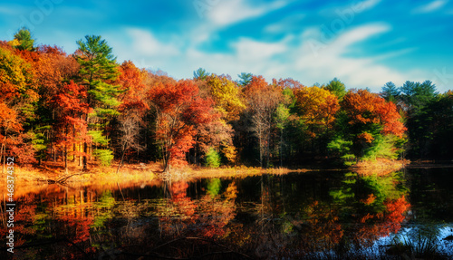 Autumn Leaves around Lily Lake at Chenango Park in Upstate NY. photo
