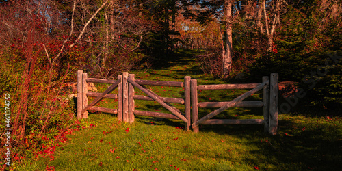 Canvas Print Wooden gate on the green footpath in the forest at sunrise.