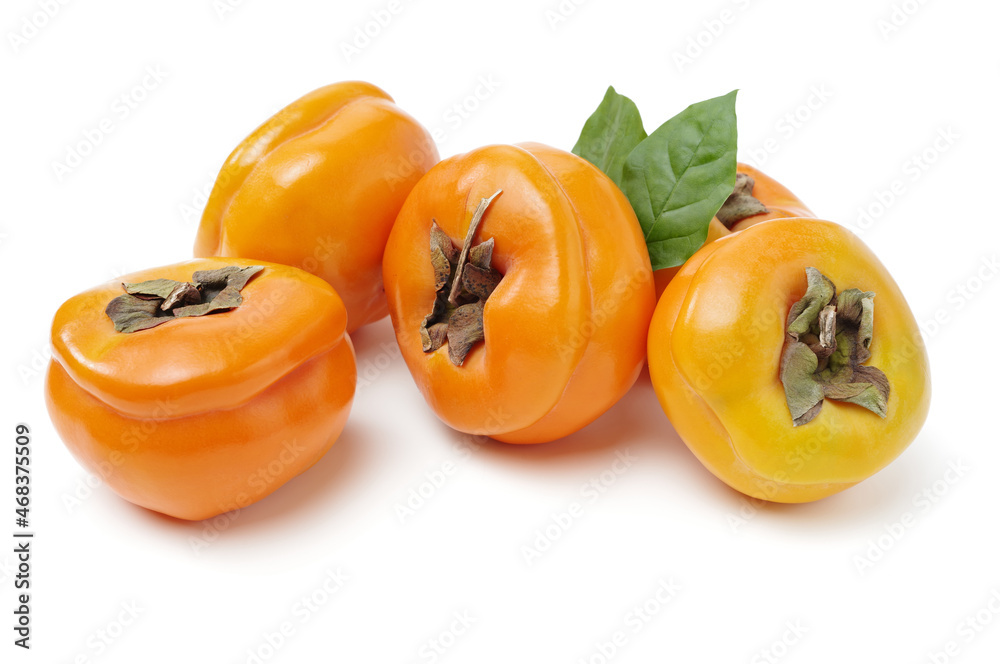 persimmon on a white background persimmon on a white background