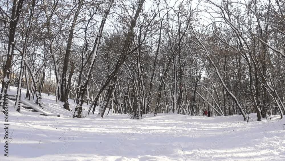 Tranquil winter park with snowdrifts. Tranquil winter park with snowdrifts.