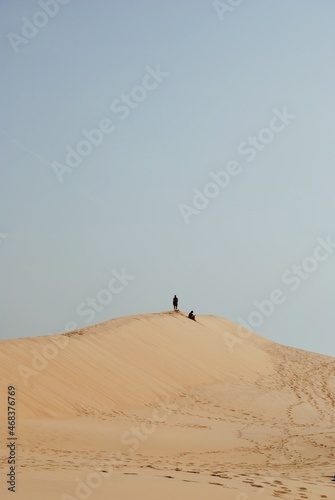 ISOLATED IN THE NATURE - GRANDE DUNE DU PILAT  FRANCE
