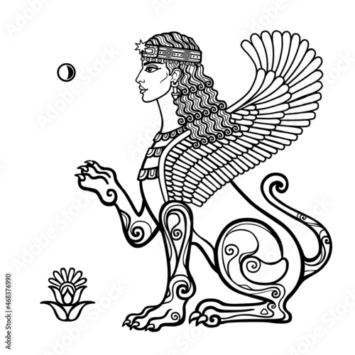 Animation drawing: sphinx woman with lion body and wings, a character in Assyrian mythology. Ishtar, Astarta, Inanna. Vector illustration isolated on a white background. photo