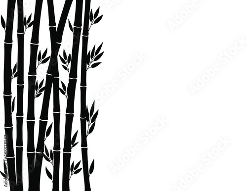 Black Bamboo stems on the white background