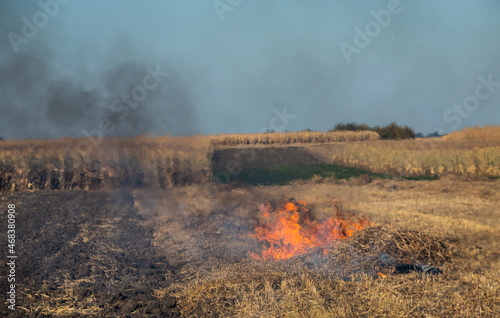 incineration of agricultural waste - smog and pollution. Harmful emissions from burning hay and straw in agricultural fields
