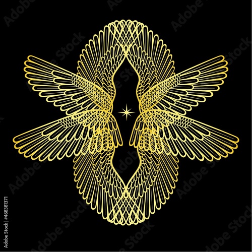 фотографія Cartoon drawing:  set of gold transparent wings
