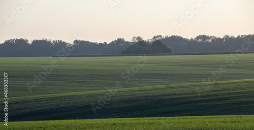 Panorama of summer green field. European rural view. Beautiful landscape of wheat field and green grass with stunning sky