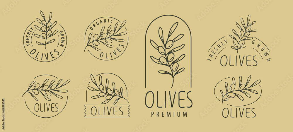 Olives label set. Olive branch badge vector