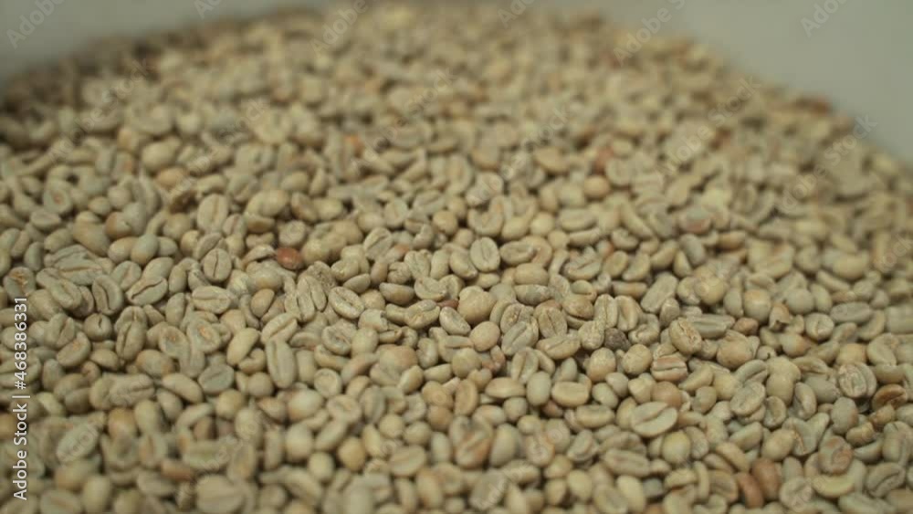 Closeup of fresh coffee beans lying in container during working day in modern factory spbas. Raw arabica seeds or mocha fill metal equipment before roasting in light workshop without anyone. Natural Closeup of fresh coffee beans lying in container during working day in modern factory spbas. Raw arabica seeds or mocha fill metal equipment before roasting in light workshop without anyone. Natural