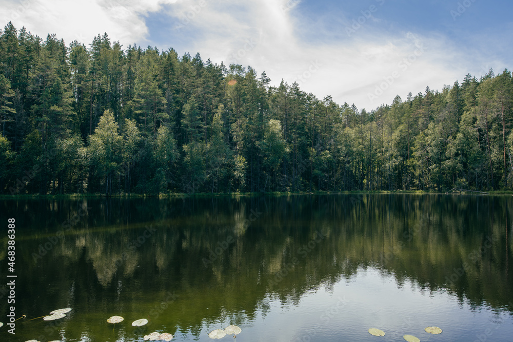 small forest lake surrounded by trees 