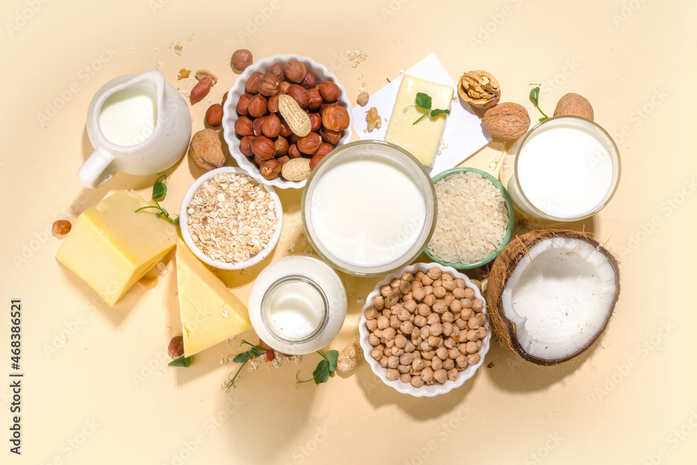 Vegan nondairy products. Plantbased alternative dairy products milk