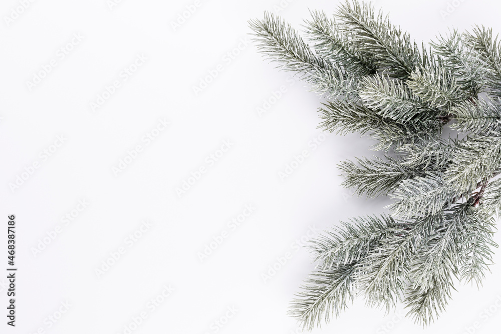 Christmas border  fir branches on a white background